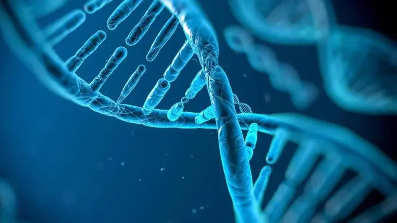 Naked Science: Evolution still 1