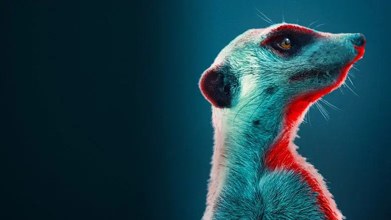 Meerkat Manor: Rise of the Dynasty still 3