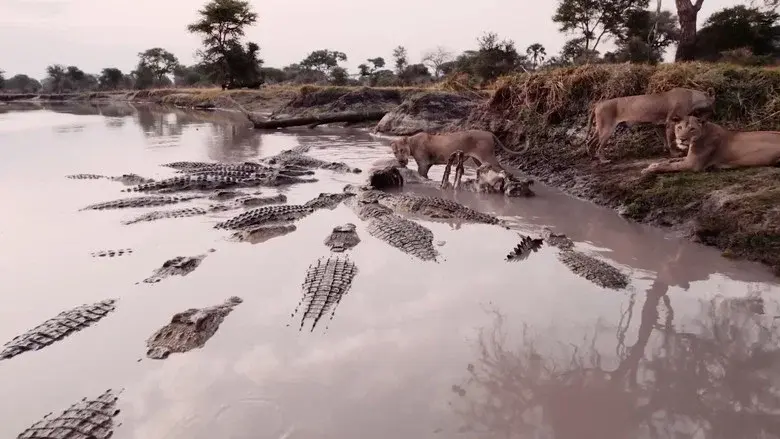 Katavi Africa's Fallen Paradise still 4