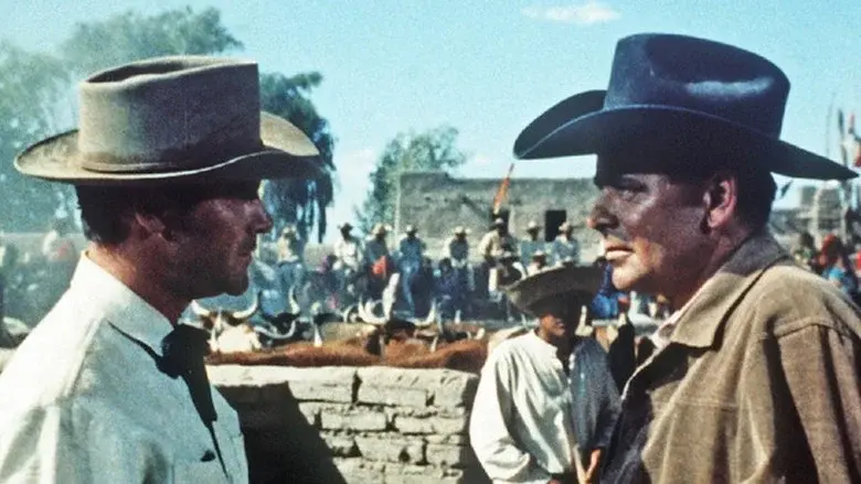 Cowboy still 8
