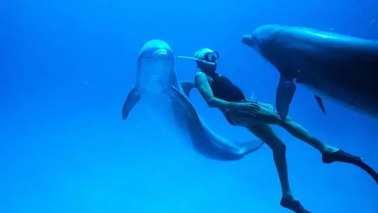 Dolphin Man still 6