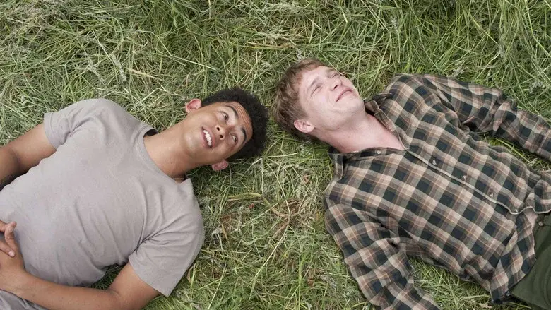 Glue still 6