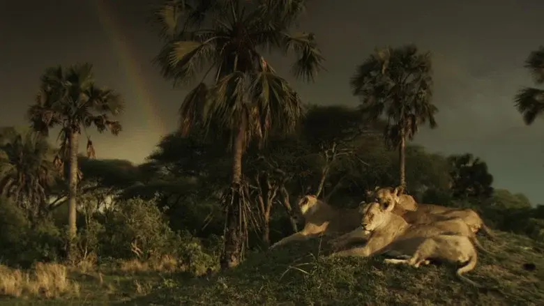 Katavi Africa's Fallen Paradise still 3