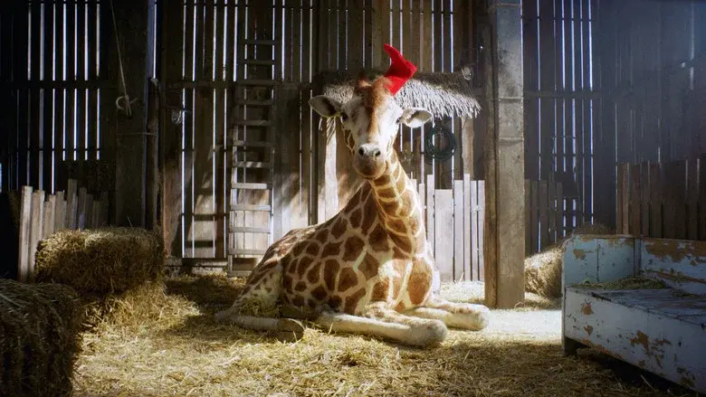 My Giraffe still 4