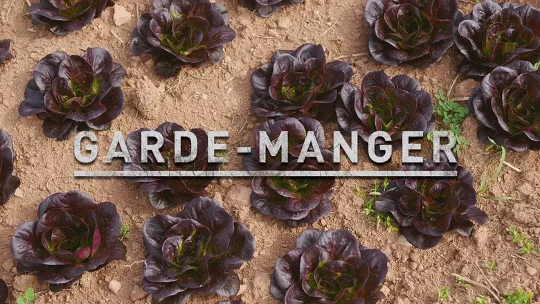 Garde-manger still 1