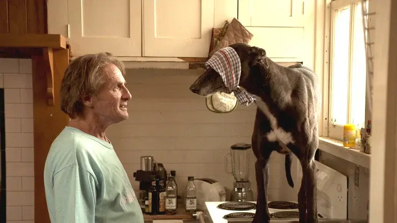 Hounds still 2