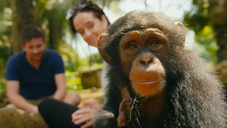 Baby Chimp Rescue still 3