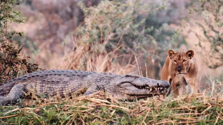 Katavi Africa's Fallen Paradise still 2