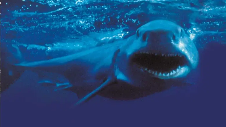 Shark Attack 2 still 2