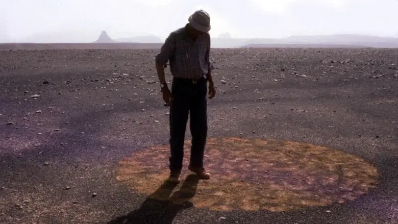 Stones and Flies: Richard Long in the Sahara still 1