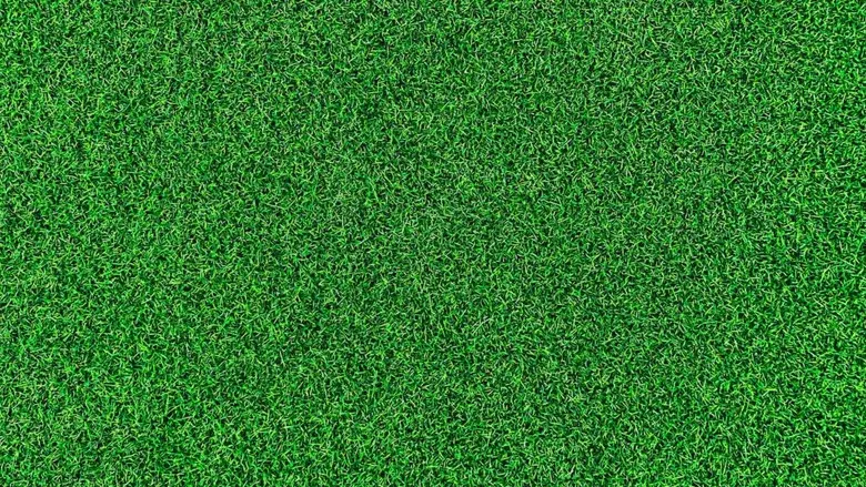 Life on the Green still 1