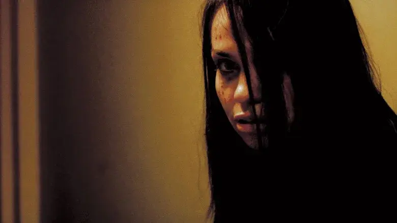 Inside still 6