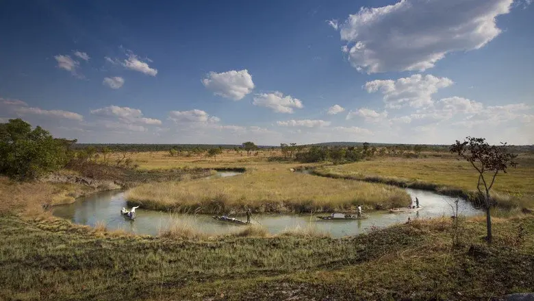 Into the Okavango still 6
