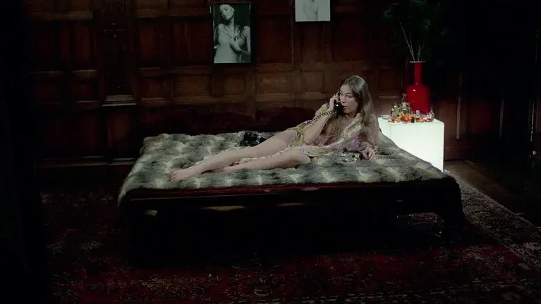 Sugar Cookies still 2