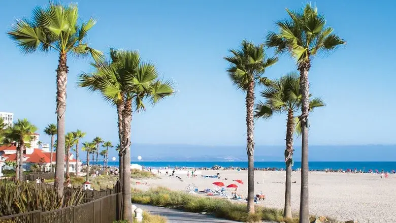 California Dreaming – Der Zukunft einen Schritt voraus still 1