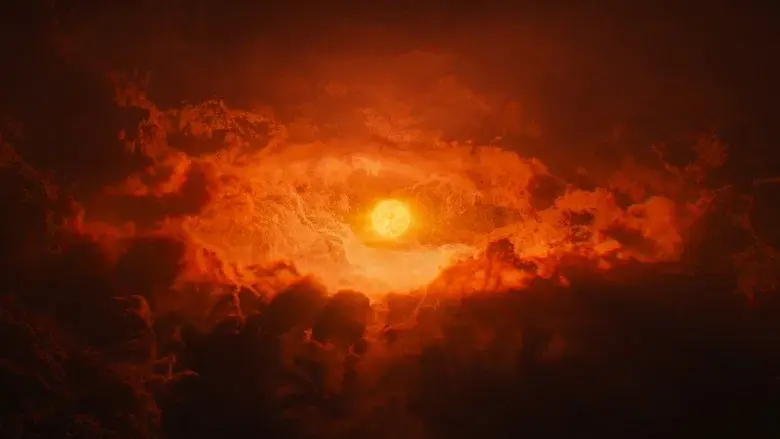 Our Universe still 8