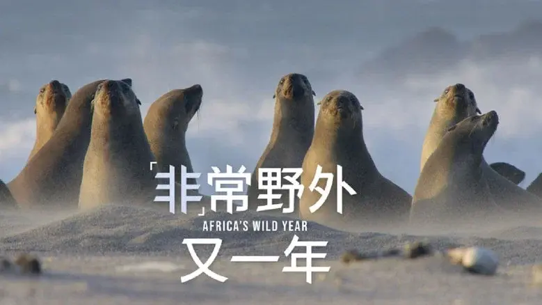 Africa's Wild Year still 6