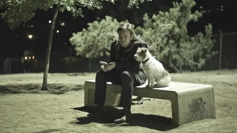 Beginners still 3