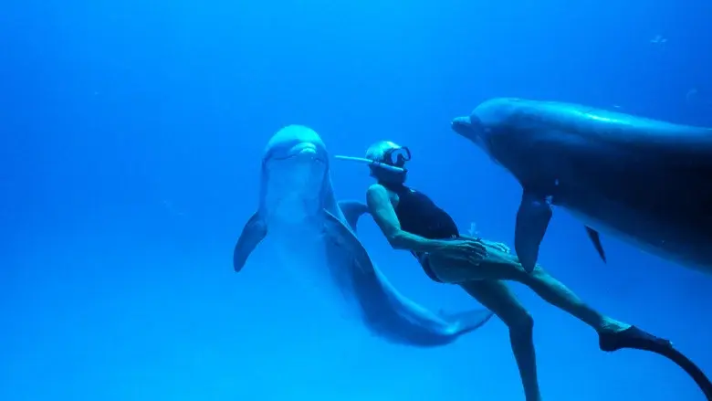 Dolphin Man still 2
