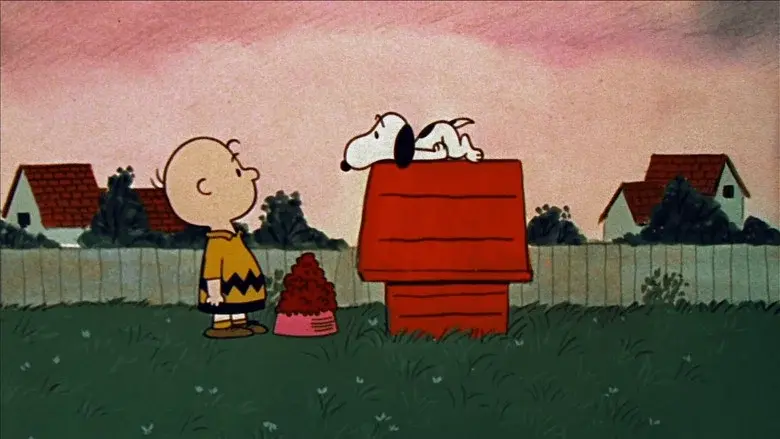 A Boy Named Charlie Brown still 3