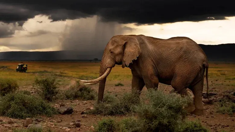 Chasing the Rains still 1