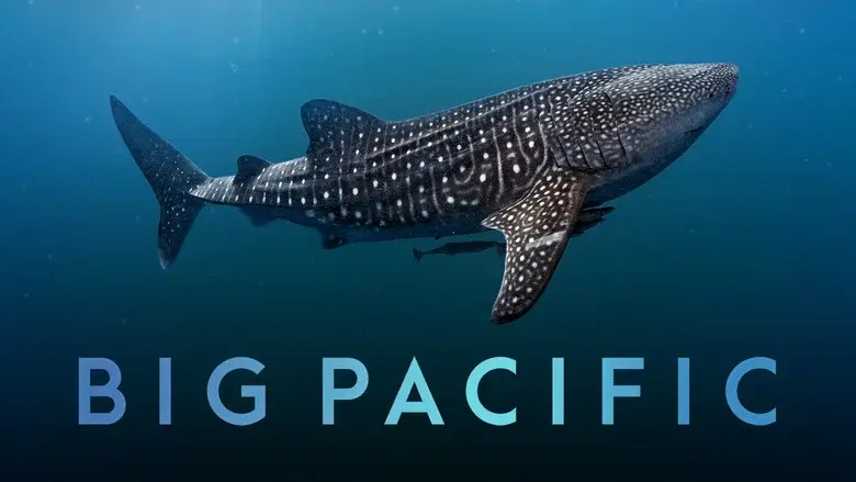 Big Pacific still 2
