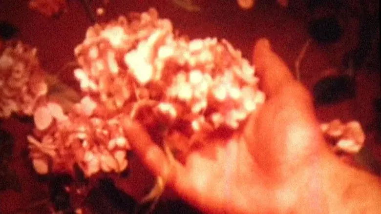 Psyche still 7