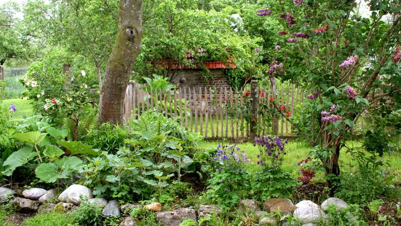 Geheimnisvoller Garten still 1