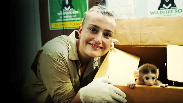 Jungle Animal Rescue still 3