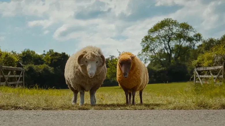 The Sheep Detectives still 7