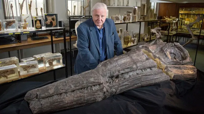 Attenborough and the Sea Dragon still 7