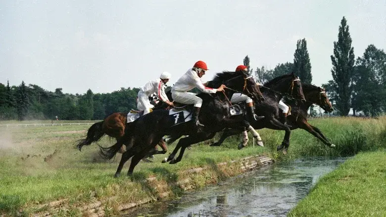 Dobrá Voda still 1