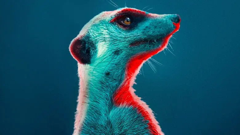 Meerkat Manor: Rise of the Dynasty still 1