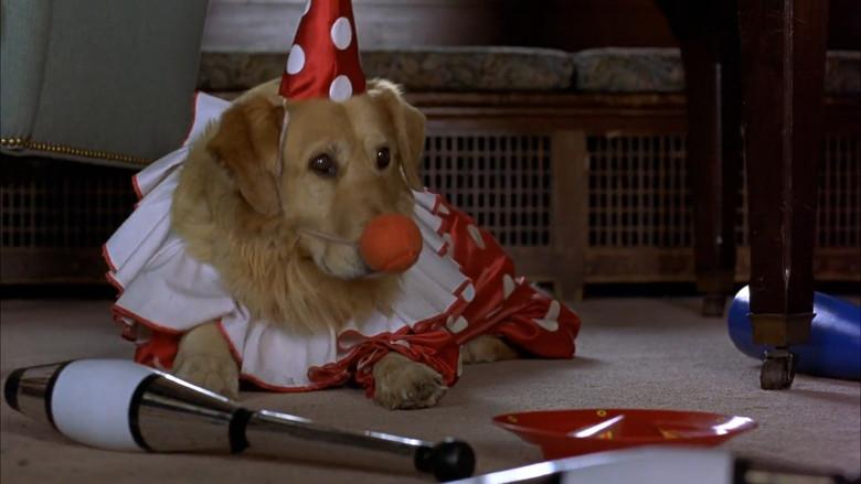 Air Bud still 3