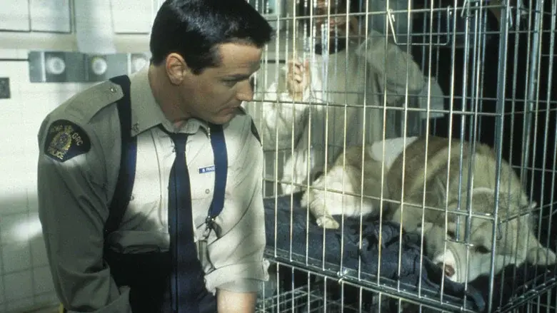 Due South still 5
