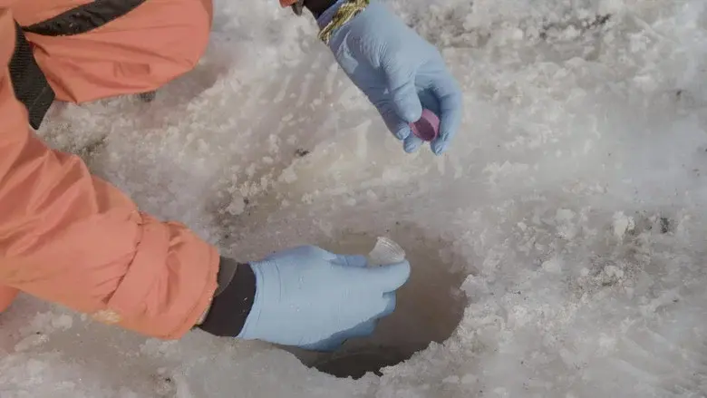Climat déréglé, santé en danger still 7