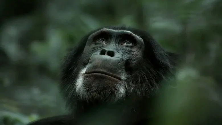 Rise of the Warrior Apes still 3