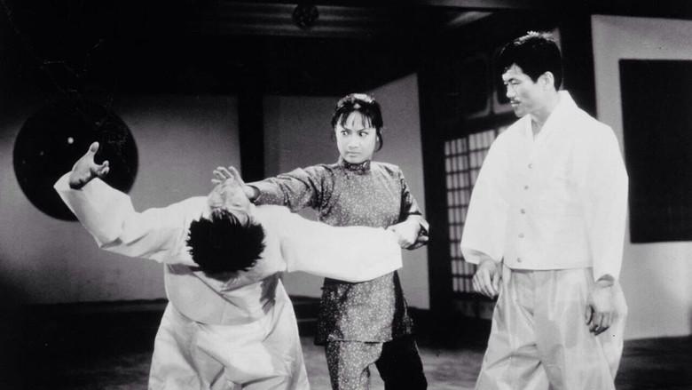 Hapkido still 7