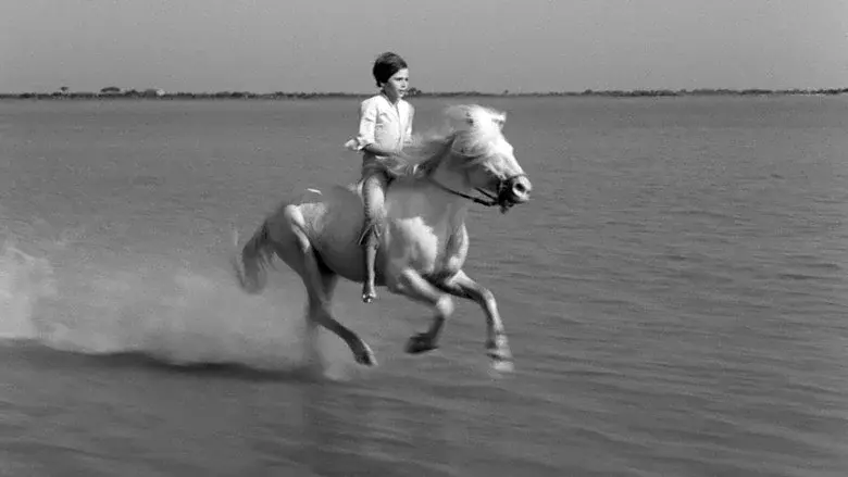 White Mane still 4