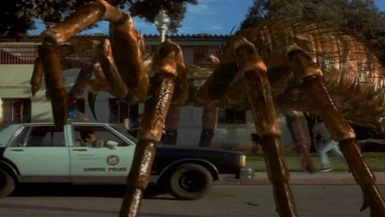 Spiders still 5