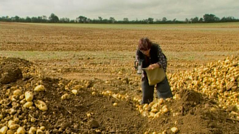 The Gleaners and I still 6