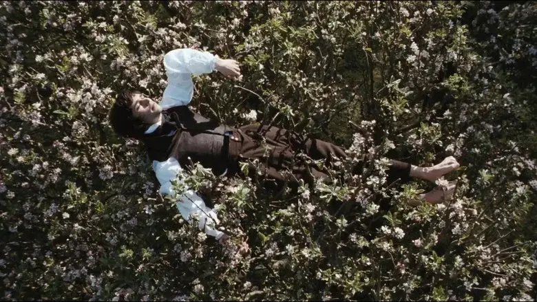 Bright Star still 4