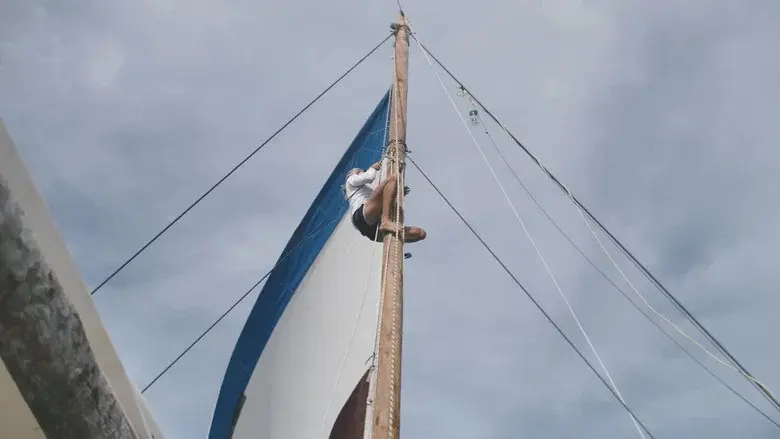 Women & the Wind still 5