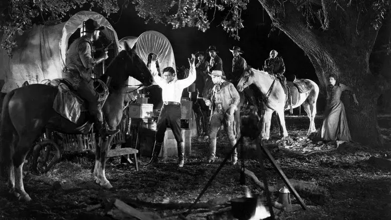 Cimarron still 7