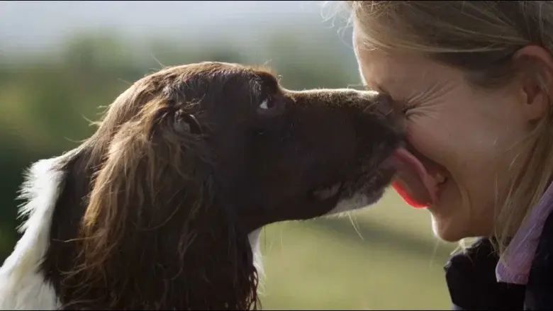 The Secret Life of Dogs still 2