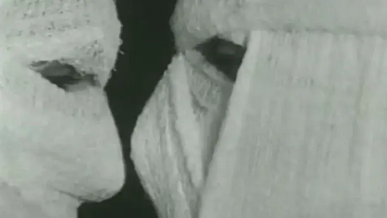 Pig still 4