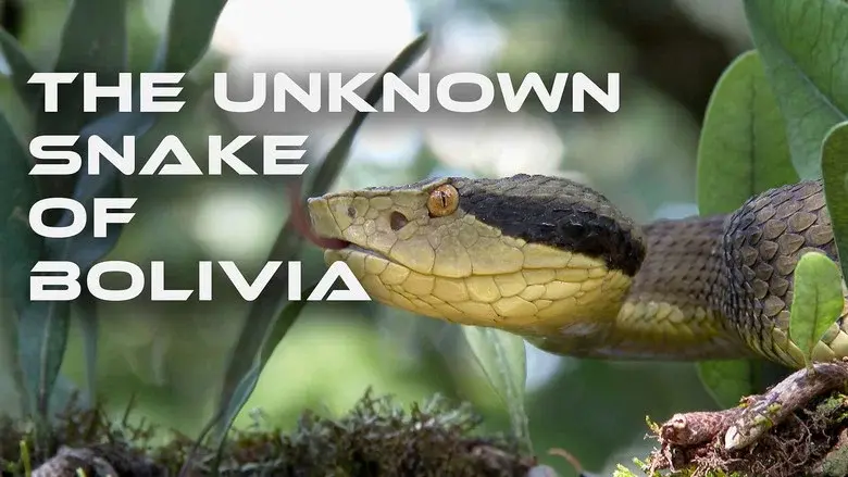 The Unknown Snake of Bolivia still 1