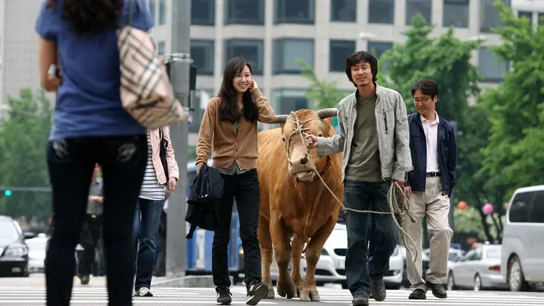 Rolling Home with a Bull still 3