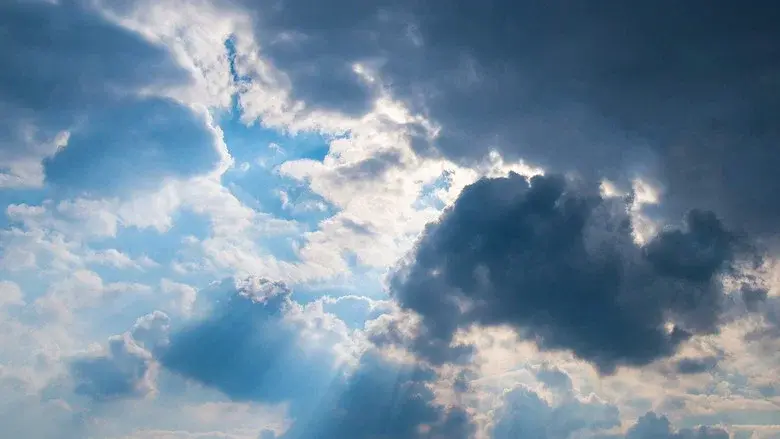 Genesis: The Creation and the Flood still 7