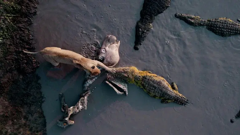 Katavi Africa's Fallen Paradise still 1